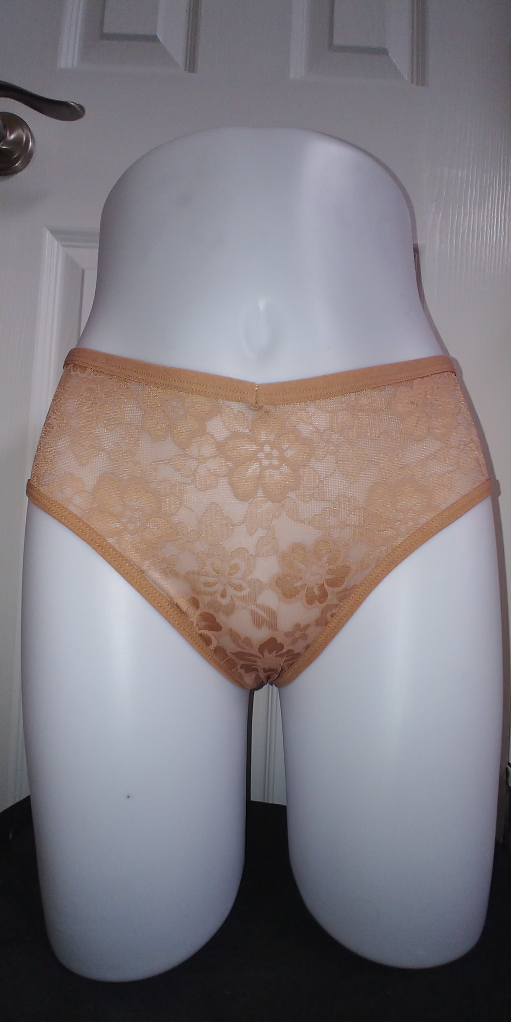5-Pack Women's Sheer Semi- Underwear - Sexy Low-Rise Briefs - Large
