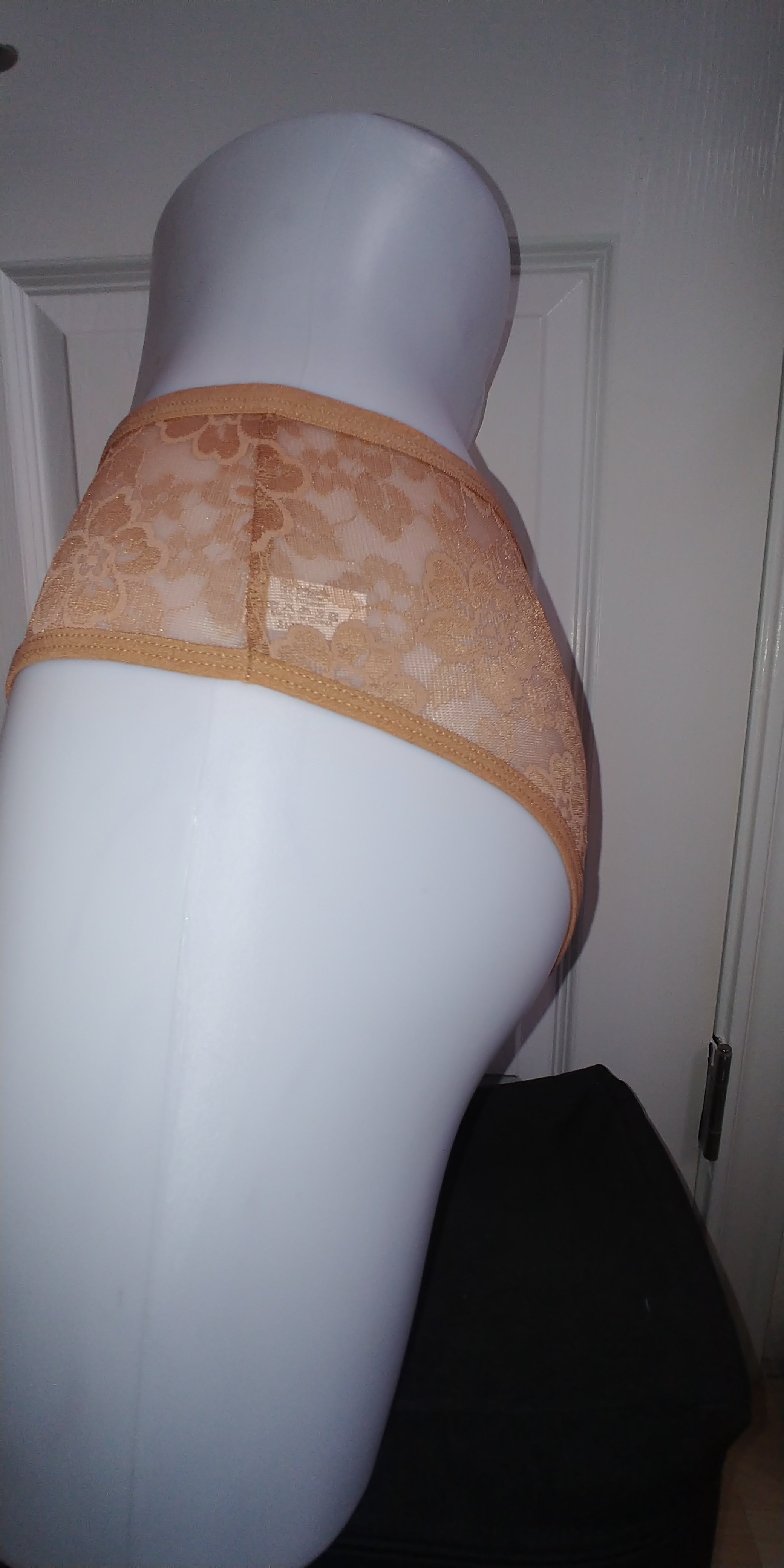 5-Pack Women's Sheer Semi- Underwear - Sexy Low-Rise Briefs - Large