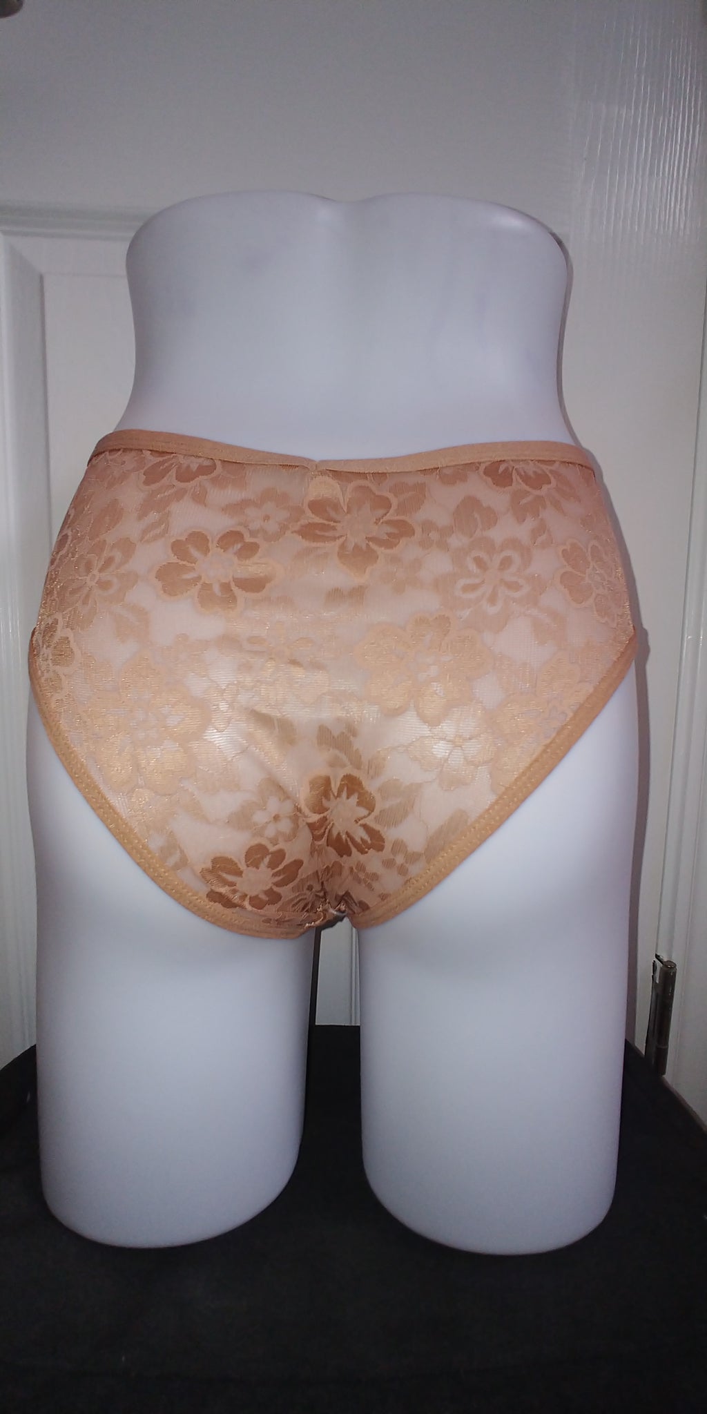 5-Pack Women's Sheer Semi- Underwear - Sexy Low-Rise Briefs - Large